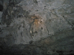  апова пещера (Ўульган-“аш). –астущий сталактит
